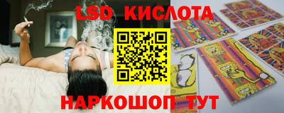 шишки Бузулук
