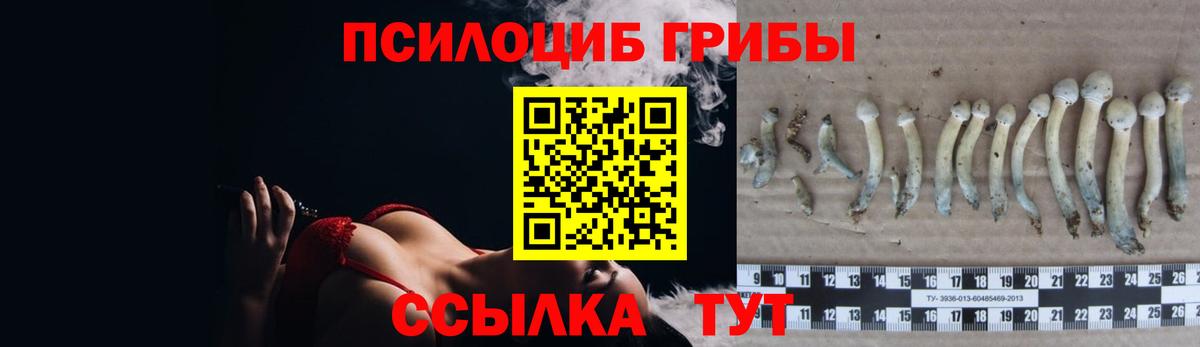 Галлюциногенные грибы мицелий Тында